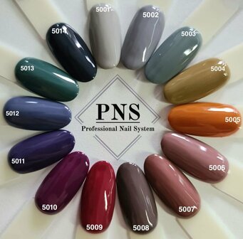 Gel Polish Color 5002