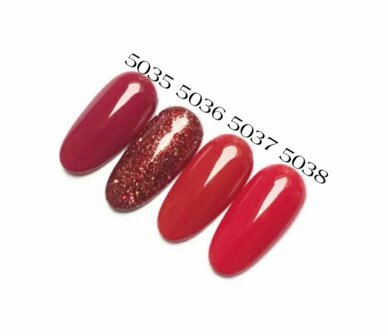 Gel Polish Color 5036