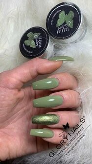 Fashion Color Reed Green